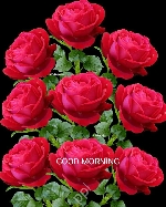 Durga Rao