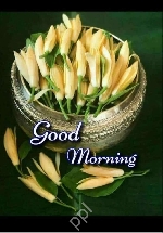 Usha