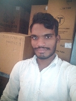 P.mahendra