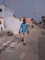 Pitti rushik