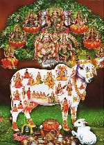 kesari.gopal@gmail.com