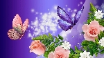 Sathish