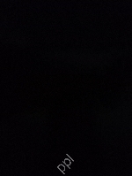 Nikil 