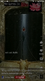 vasu