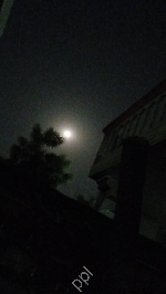 Usha