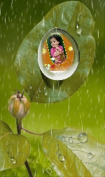 Tammu nani